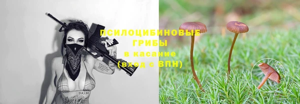 герыч Верея