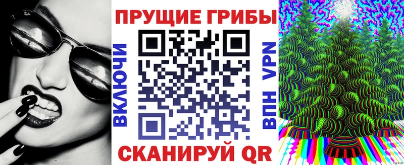 продажа наркотиков  блэк спрут вход  Псилоцибиновые грибы GOLDEN TEACHER  Карабаш 